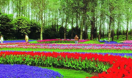 露台花园怎么设计?露台花园的设计原则